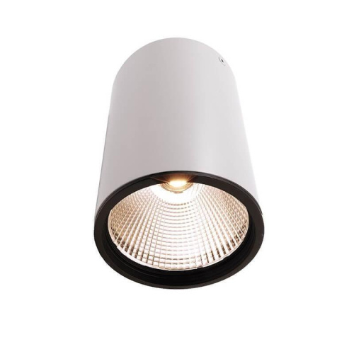 Накладной светильник Deko-Light Luna 30 348059 Накладной светильник Deko-Light Luna 30 348059