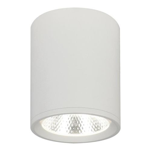 Потолочный светодиодный светильник Escada 20003SMU/02LED SWH Потолочный светодиодный светильник Escada 20003SMU/02LED SWH