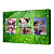 Фотофон Toplight 50х70см TL-F0001
