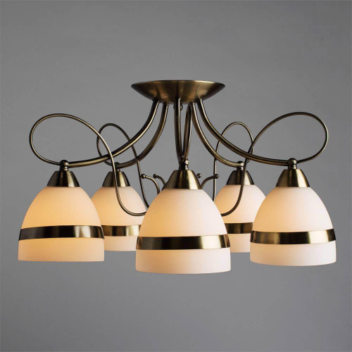 Потолочная люстра Arte Lamp 55 A6192PL-5AB Потолочная люстра Arte Lamp 55 A6192PL-5AB