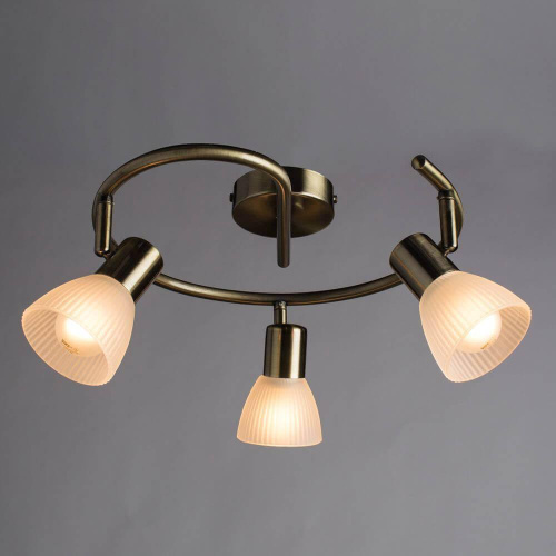 Спот Arte Lamp Parry A5062PL-3AB Спот Arte Lamp Parry A5062PL-3AB