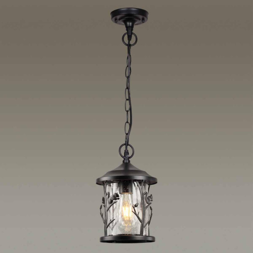 Уличный подвесной светильник Odeon Light Nature Cuita 4963/1 Уличный подвесной светильник Odeon Light Nature Cuita 4963/1