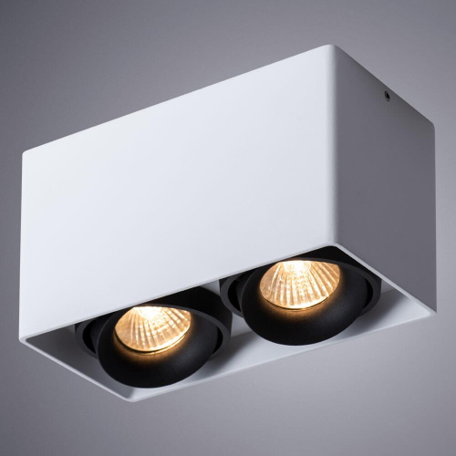 Потолочный светильник Arte Lamp Pictor A5654PL-2WH Потолочный светильник Arte Lamp Pictor A5654PL-2WH