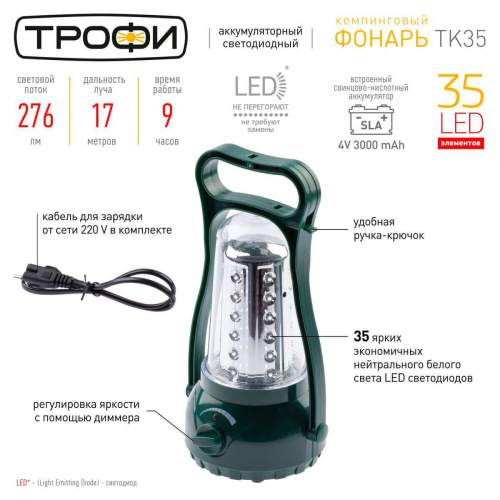 Кемпинговый светодиодный фонарь ЭРА Трофи кемпинг аккумуляторный 240х127х118 276 лм TK35 C0045555 Кемпинговый светодиодный фонарь ЭРА Трофи кемпинг аккумуляторный 240х127х118 276 лм TK35 C0045555