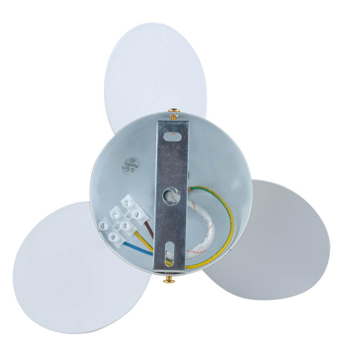 Потолочный светильник Loft IT Matisse 10008/1C white Потолочный светильник Loft IT Matisse 10008/1C white