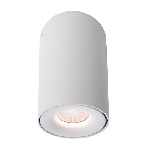 Накладной светильник Deko-Light Bengala LED 348029 Накладной светильник Deko-Light Bengala LED 348029