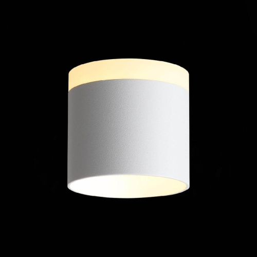 Потолочный светодиодный светильник ST Luce Panaggio ST102.502.09 Потолочный светодиодный светильник ST Luce Panaggio ST102.502.09