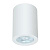 Потолочный светильник Arte Lamp Tino A1468PL-1WH