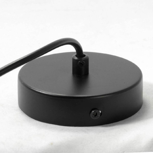 Подвесной светильник Lussole Lgo LSP-0178 Подвесной светильник Lussole Lgo LSP-0178
