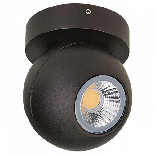 Спот Lightstar Globo 051007 Спот Lightstar Globo 051007