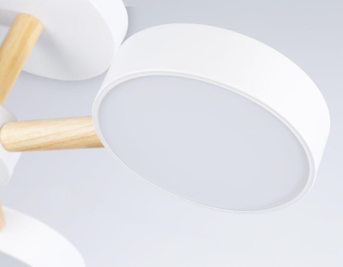 Потолочная светодиодная люстра Ambrella light Comfort LineTech FL4821 Потолочная светодиодная люстра Ambrella light Comfort LineTech FL4821