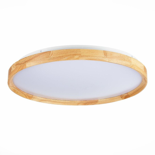 Потолочный сетодиодный светильник Evoluce Delia SLE201382-01 Потолочный сетодиодный светильник Evoluce Delia SLE201382-01