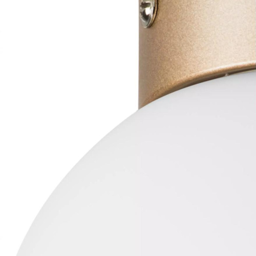 Настенно-потолочный светильник Lightstar Globo 812013 Настенно-потолочный светильник Lightstar Globo 812013