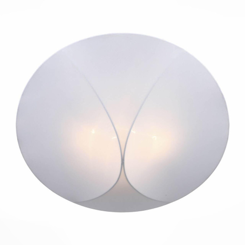 Накладной светильник ST Luce Tonico SL360.552.04 Накладной светильник ST Luce Tonico SL360.552.04