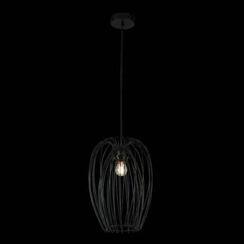 Подвесной светильник Loft IT Deseno 10031 Black Подвесной светильник Loft IT Deseno 10031 Black