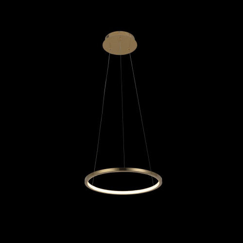 Подвесной светодиодный светильник Loft IT Ring 10014S Подвесной светодиодный светильник Loft IT Ring 10014S