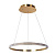 Подвесная светодиодная люстра Arte Lamp Orione A2182SP-60PB