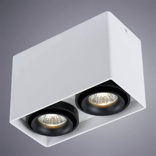 Потолочный светильник Arte Lamp A5655PL-2WH Потолочный светильник Arte Lamp A5655PL-2WH