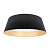 Потолочный светодиодный светильник Loft IT Evans 10224 Black