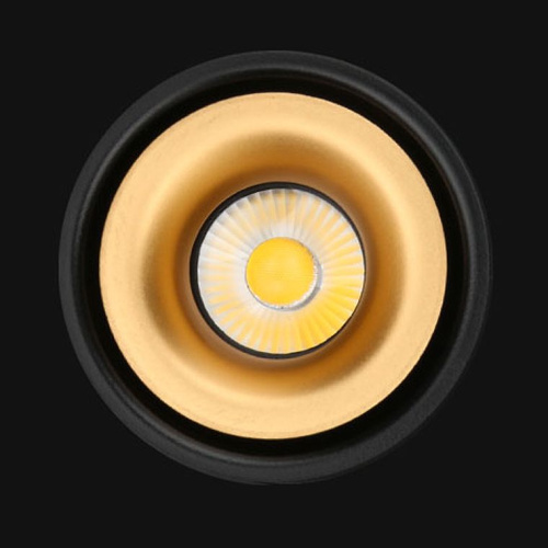 Потолочный Светильник Agenda Black+Gold 10W By Imperiumloft