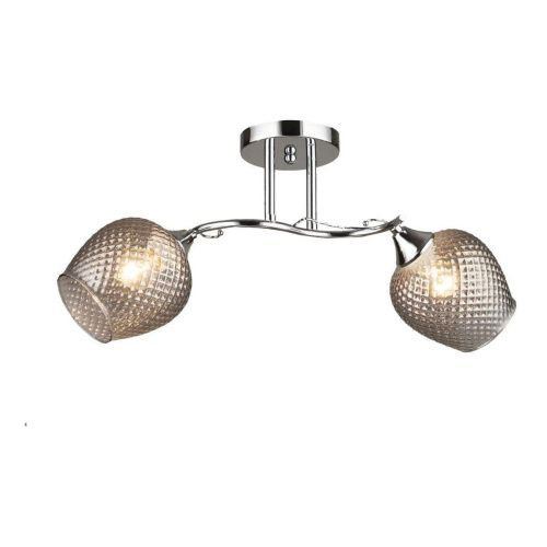 Потолочная люстра Milosh Tendence 0668CL-2CH Потолочная люстра Milosh Tendence 0668CL-2CH