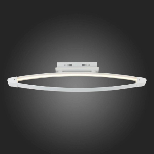 Потолочный светодиодный светильник ST Luce SL920.102.01 Потолочный светодиодный светильник ST Luce SL920.102.01
