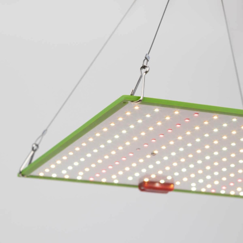Прожектор светодиодный для растений ЭРА 50W 1310K Fito-80W-Led-QB Б0053285 Прожектор светодиодный для растений ЭРА 50W 1310K Fito-80W-Led-QB Б0053285