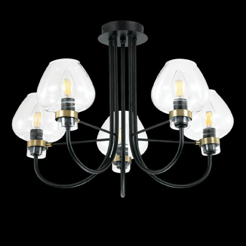 Потолочная люстра Lumion Ilona 3708/5C Потолочная люстра Lumion Ilona 3708/5C
