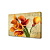 Холст Каллы Toplight 50х75х2см TL-H3028