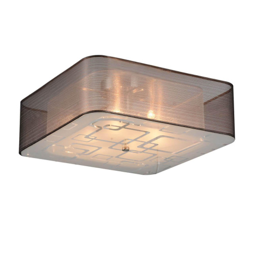 Потолочный светильник ST Luce SL940.802.06 Потолочный светильник ST Luce SL940.802.06