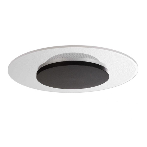Потолочный светодиодный светильник Deko-Light Zaniah 620039 Потолочный светодиодный светильник Deko-Light Zaniah 620039