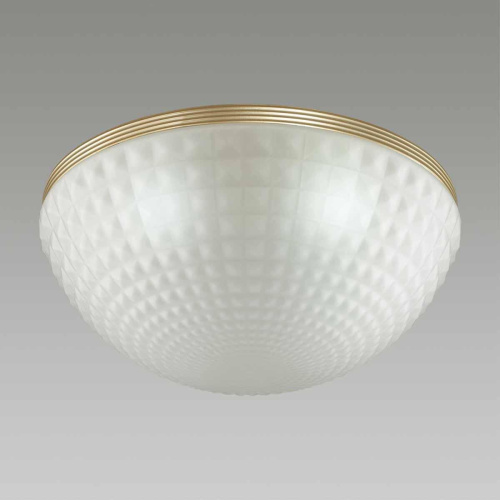 Потолочный светильник Odeon Light Modern Malaga 4936/4C Потолочный светильник Odeon Light Modern Malaga 4936/4C