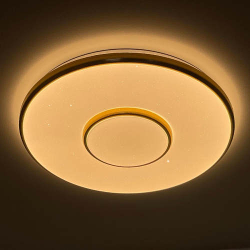 Потолочный светодиодный светильник Profit Light 2096/300 WH+CR Потолочный светодиодный светильник Profit Light 2096/300 WH+CR