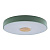 Потолочный светодиодный светильник Loft IT Axel 10003/24 green