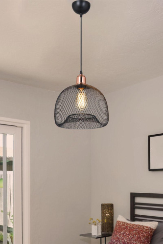 Подвесной светильник Toplight Bryanne TL1603H-01BK Подвесной светильник Toplight Bryanne TL1603H-01BK