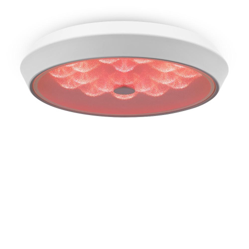 Потолочный светодиодный светильник Freya Cells FR10012CL-L24W Потолочный светодиодный светильник Freya Cells FR10012CL-L24W