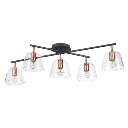 Потолочная люстра Lumion Joseph 4455/5C Потолочная люстра Lumion Joseph 4455/5C
