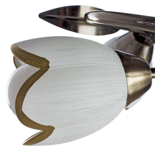 Потолочная люстра Arte Lamp 4 A6061PL-4AB Потолочная люстра Arte Lamp 4 A6061PL-4AB