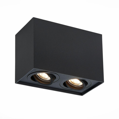 Потолочный светильник ST Luce ST109.407.02 Потолочный светильник ST Luce ST109.407.02