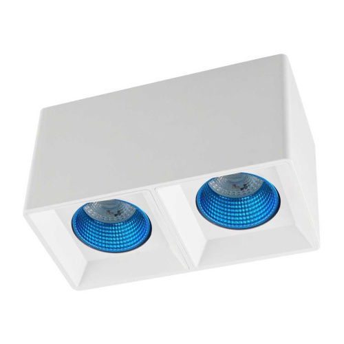 Потолочный светильник Denkirs DK3020WСY DK3085-WH+CY Потолочный светильник Denkirs DK3020WСY DK3085-WH+CY
