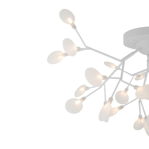 Потолочная люстра Freya Florencia FR5049CL-27W1 Потолочная люстра Freya Florencia FR5049CL-27W1