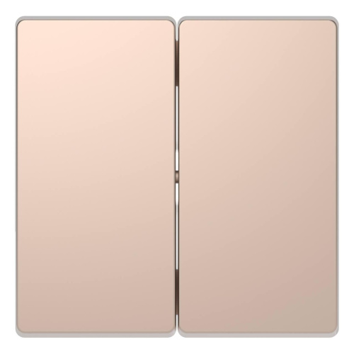 Клавиша двойная Schneider Electric Merten D-Life MTN3400-6051 Клавиша двойная Schneider Electric Merten D-Life MTN3400-6051