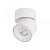 Накладной светодиодный светильник Loft IT Tictac 10180 White