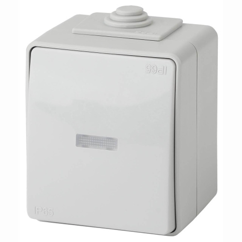Переключатель одноклавишный с подсветкой ЭРА Эксперт 10AX 250V IP65 11-1610-03 Б0035981 Переключатель одноклавишный с подсветкой ЭРА Эксперт 10AX 250V IP65 11-1610-03 Б0035981