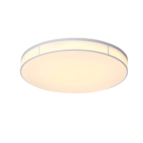 Потолочный светодиодный светильник ST Luce Fella SL417.512.01 Потолочный светодиодный светильник ST Luce Fella SL417.512.01