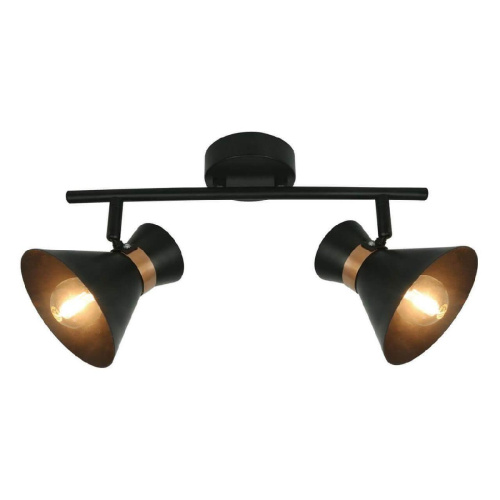 Спот Arte Lamp Baltimore A1406AP-2BK Спот Arte Lamp Baltimore A1406AP-2BK