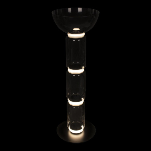 Торшер светодиодный Loft IT Noctambule 10192F/M Торшер светодиодный Loft IT Noctambule 10192F/M