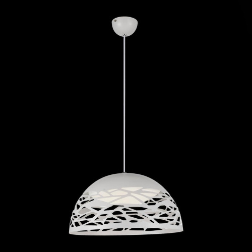 Подвесной светодиодный светильник ST Luce Velo SL273.053.01 Подвесной светодиодный светильник ST Luce Velo SL273.053.01