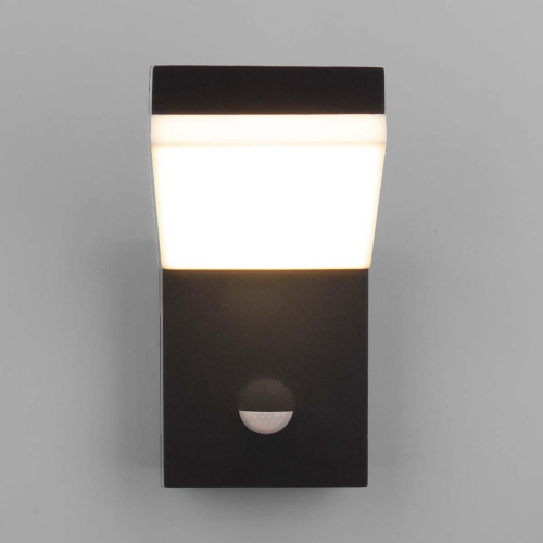 Уличный настенный светодиодный светильник Elektrostandard Sensor 1541 Techno Led черный a053946 Уличный настенный светодиодный светильник Elektrostandard Sensor 1541 Techno Led черный a053946