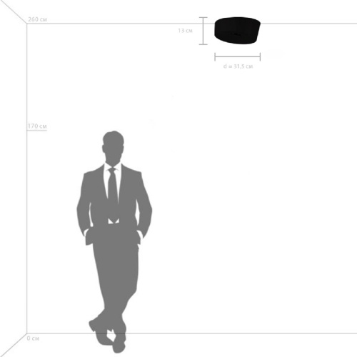 Потолочный светодиодный светильник Lightstar Celesta 809356 Потолочный светодиодный светильник Lightstar Celesta 809356